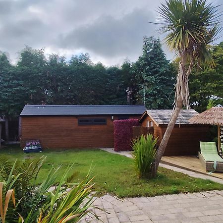 Richmond Lane Guest House - Aa Accredited Romsey Buitenkant foto